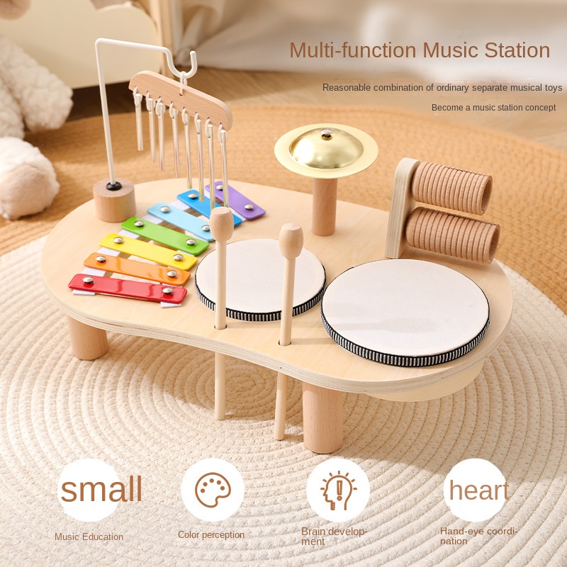 LazyChild Kids Educational Toy - Musical Instruments Game 评论和价格