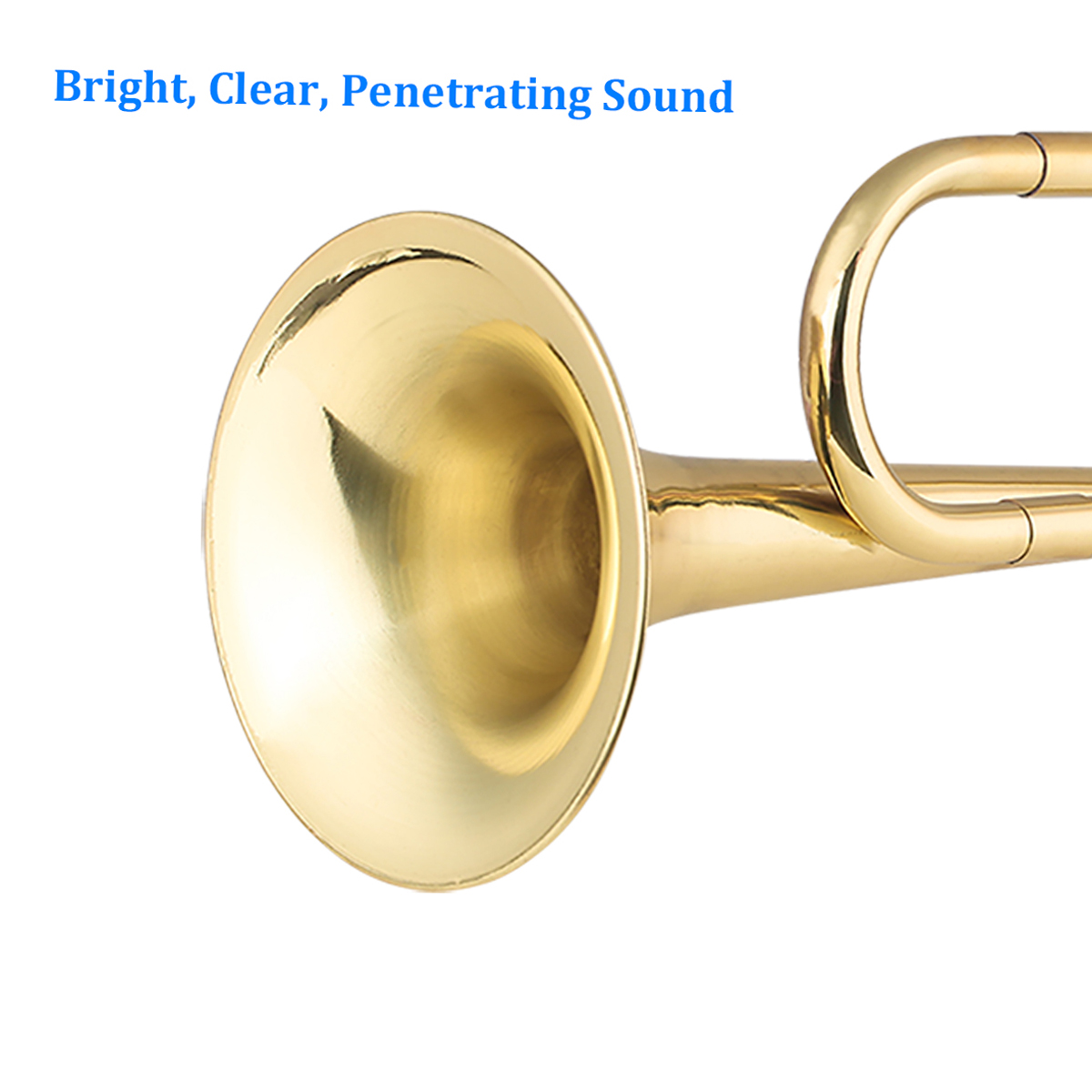Brass C Bugle Call Gold-Plated - Musical Instrument Bugle 评论和价格