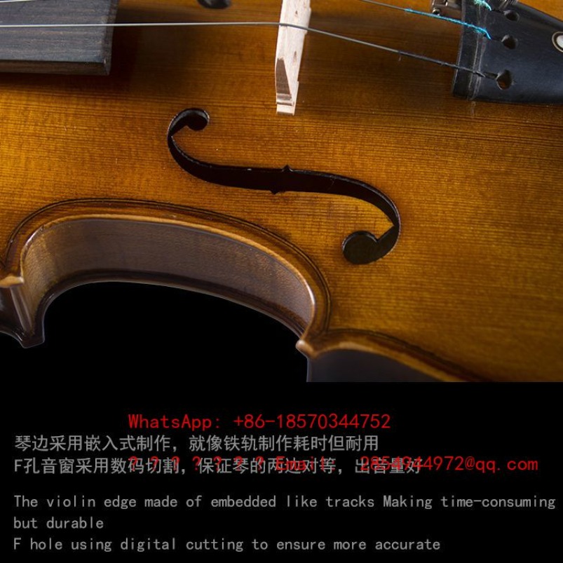 Professional Playing Grade Vio - Musical Instrument Net 评论和价格