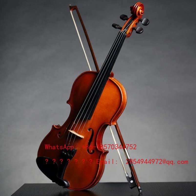 Professional Playing Grade Vio - Musical Instrument Net 评论和价格
