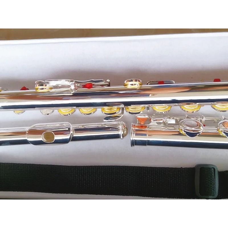 Professional Flute 211SL Model - Musical Instrument Morocco 评论和价格